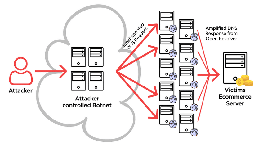 What is DNS Amplification Attack